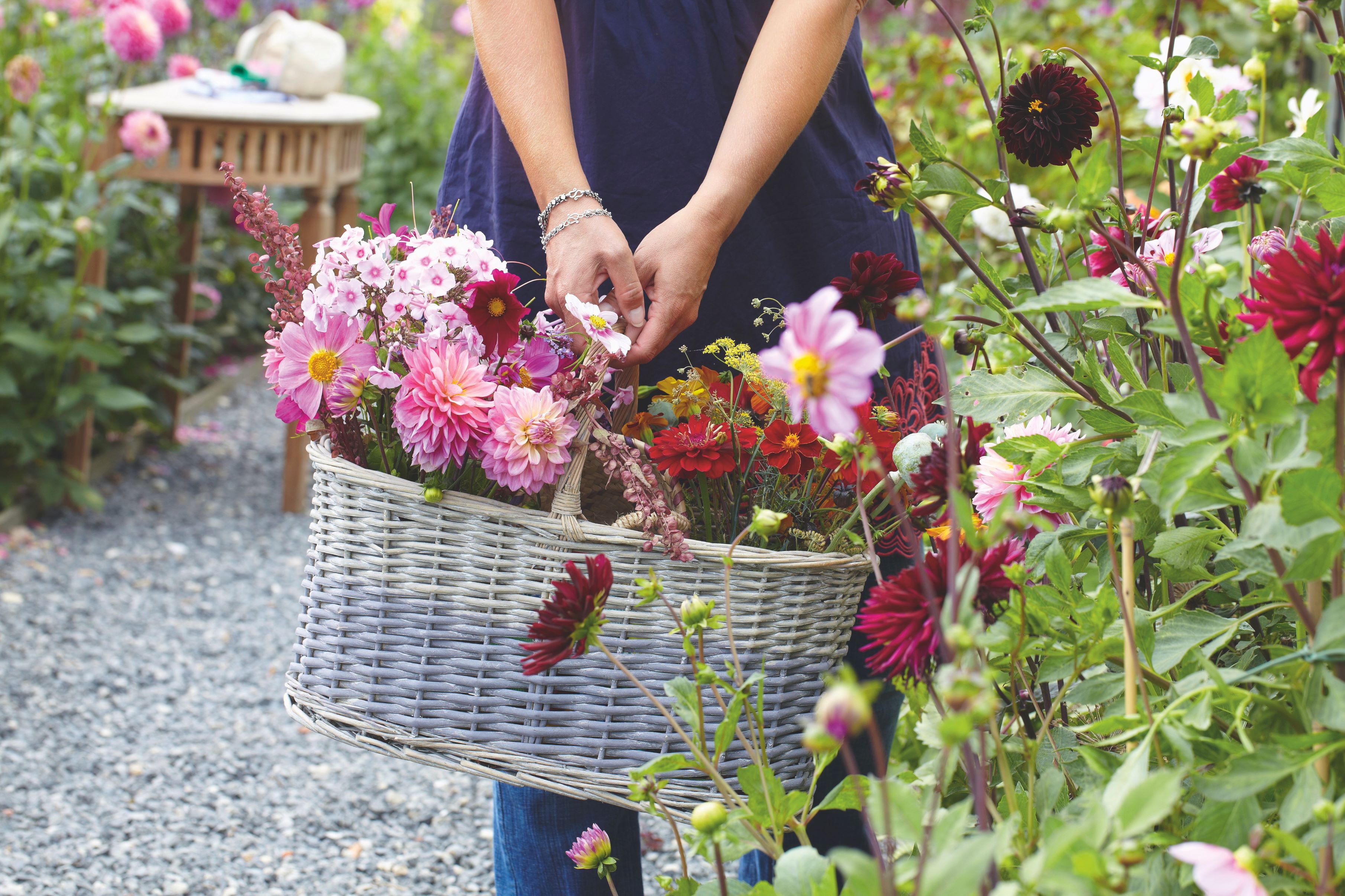 To nejkrásnější z našeho venkova